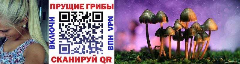 где найти наркотики  Среднеколымск  Псилоцибиновые грибы ЛСД 